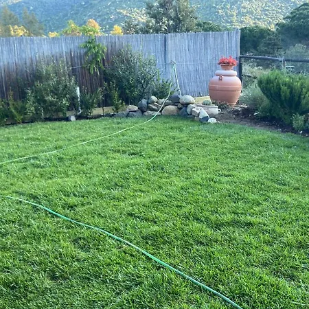Lotty A 5 Minuti A Piedi Dal Mare * Torre delle Stelle